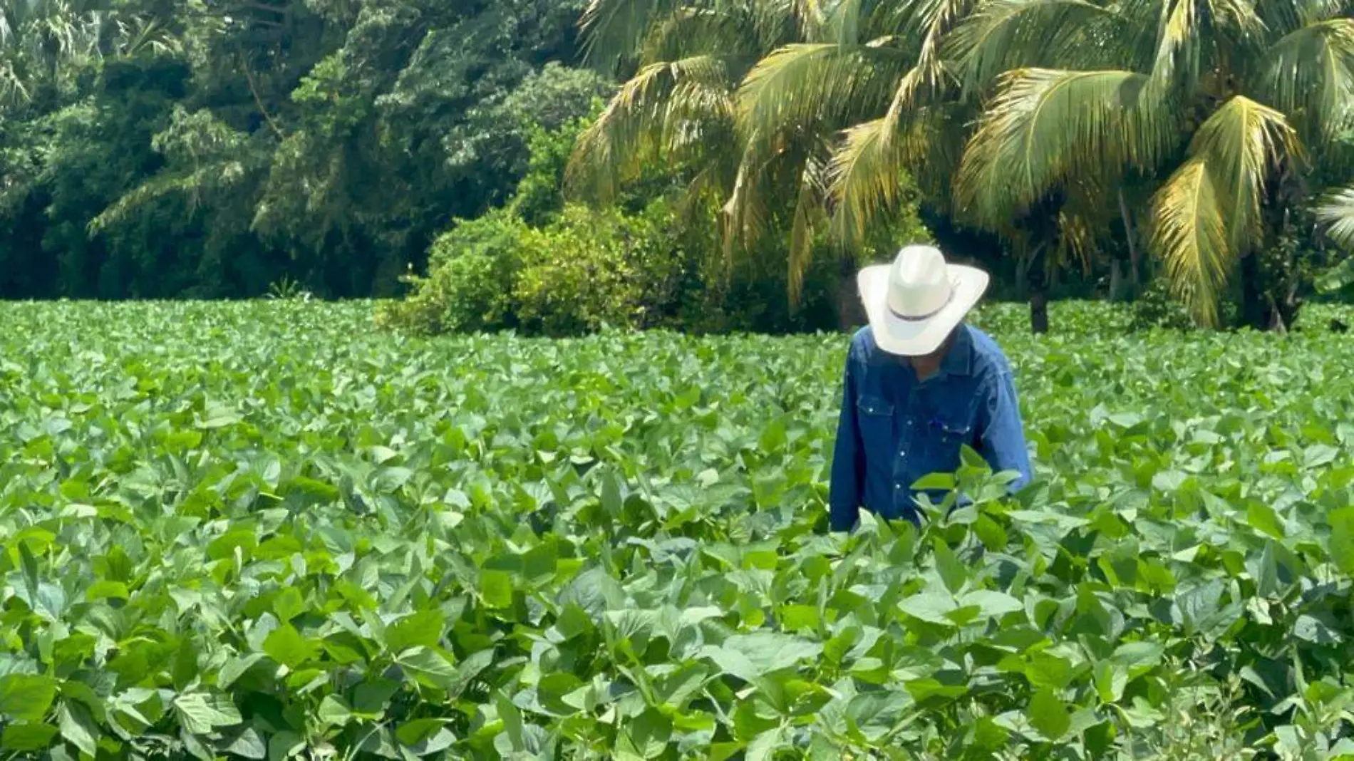 empresarios agricolas2